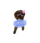 ゆず♡てぃー(トイプードル)犬スタンプ（個別スタンプ：22）
