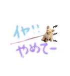 ゆず♡てぃー(トイプードル)犬スタンプ（個別スタンプ：34）