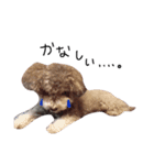 ルビモカ（個別スタンプ：2）