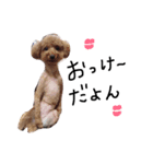 ルビモカ（個別スタンプ：6）