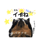 azukichan 2（個別スタンプ：2）