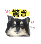 azukichan 2（個別スタンプ：8）