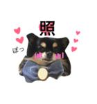 azukichan 2（個別スタンプ：11）