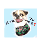 Mr. Cherio（個別スタンプ：2）