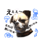 Mr. Cherio（個別スタンプ：3）