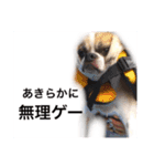 Mr. Cherio（個別スタンプ：8）