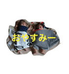 湊と結（個別スタンプ：4）