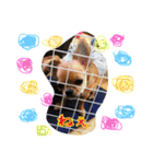 コムギン2（個別スタンプ：1）