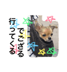 コムギン2（個別スタンプ：18）