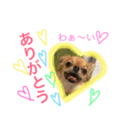 コムギン2（個別スタンプ：19）