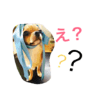 コムギン2（個別スタンプ：20）