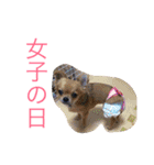 コムギン2（個別スタンプ：21）