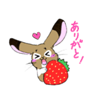 徳江さんちのミルティーちゃん（個別スタンプ：5）