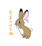 徳江さんちのミルティーちゃん（個別スタンプ：17）