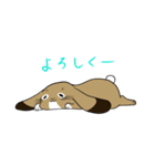 徳江さんちのミルティーちゃん（個別スタンプ：36）