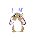徳江さんちのミルティーちゃん（個別スタンプ：37）