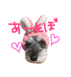 バディ！（個別スタンプ：11）
