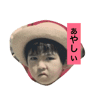 日本猫とハムスターと子供（個別スタンプ：24）