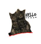 japan animal  family（個別スタンプ：5）