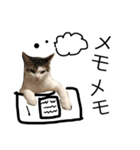 japan animal  family（個別スタンプ：15）
