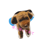 cocorin（個別スタンプ：2）