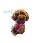 cocorin（個別スタンプ：7）