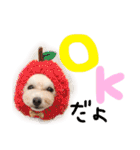 えぶりでぃ まふ（個別スタンプ：1）