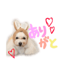 えぶりでぃ まふ（個別スタンプ：5）
