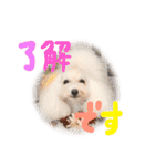 えぶりでぃ まふ（個別スタンプ：7）
