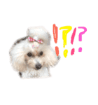 えぶりでぃ まふ（個別スタンプ：9）