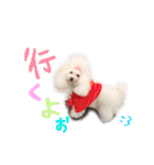 えぶりでぃ まふ（個別スタンプ：13）