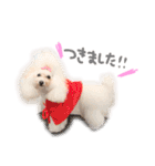 えぶりでぃ まふ（個別スタンプ：14）