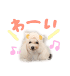 えぶりでぃ まふ（個別スタンプ：16）