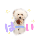 えぶりでぃ まふ（個別スタンプ：18）