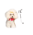 えぶりでぃ まふ（個別スタンプ：23）