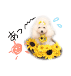 えぶりでぃ まふ（個別スタンプ：33）