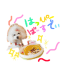 えぶりでぃ まふ（個別スタンプ：38）