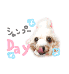 えぶりでぃ まふ（個別スタンプ：40）