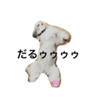 あなぽのきもち（個別スタンプ：1）