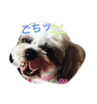 あなぽのきもち（個別スタンプ：3）