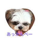 あなぽのきもち（個別スタンプ：4）