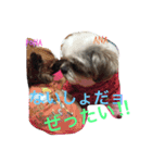 あなぽのきもち（個別スタンプ：5）