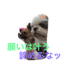 あなぽのきもち（個別スタンプ：6）