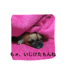あなぽのきもち（個別スタンプ：8）