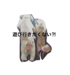 あなぽのきもち（個別スタンプ：14）