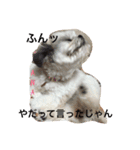あなぽのきもち（個別スタンプ：15）