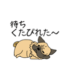 面白犬 こじろう（個別スタンプ：36）