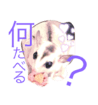 mamoru＆maruko（個別スタンプ：1）