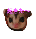 mamoru＆maruko（個別スタンプ：5）