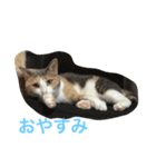 Salang stamp（個別スタンプ：2）